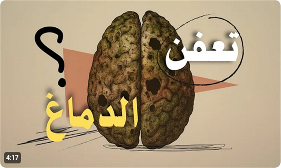 تعفّن الدماغ.! الحل في دقيقة