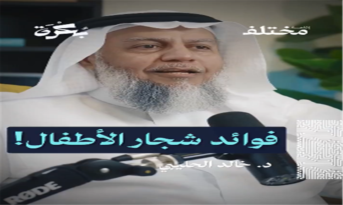 مدرسة الشجار.. لماذا يُعد عراك الأطفال ضرورة تربوية؟